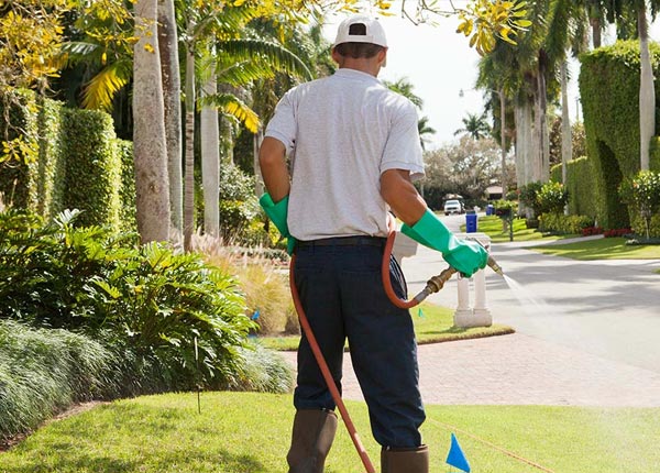 About Bishop Hill IL Pest Control